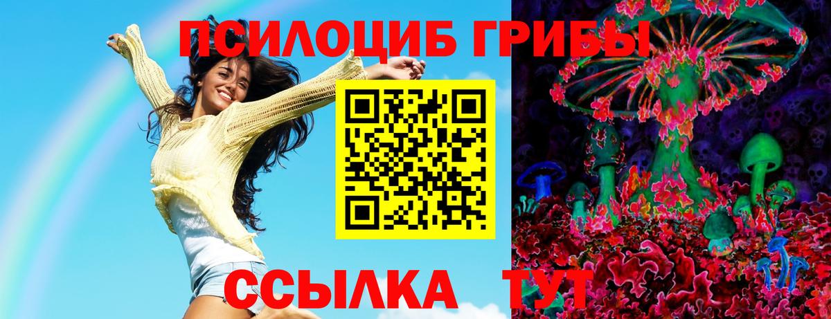 Псилоцибиновые грибы Psilocybe  Псилоцибиновые грибы Psilocybe  Рославль  Вход с VPN 